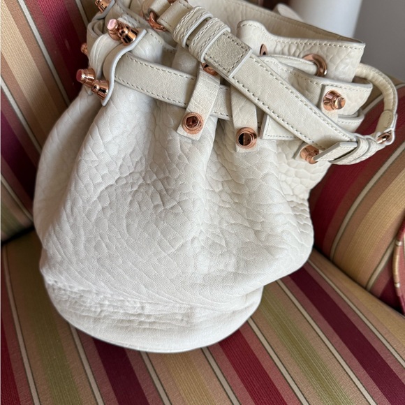 Alexander Wang Cream Hobo Bag with Gold Accents - Picture 1 of 3